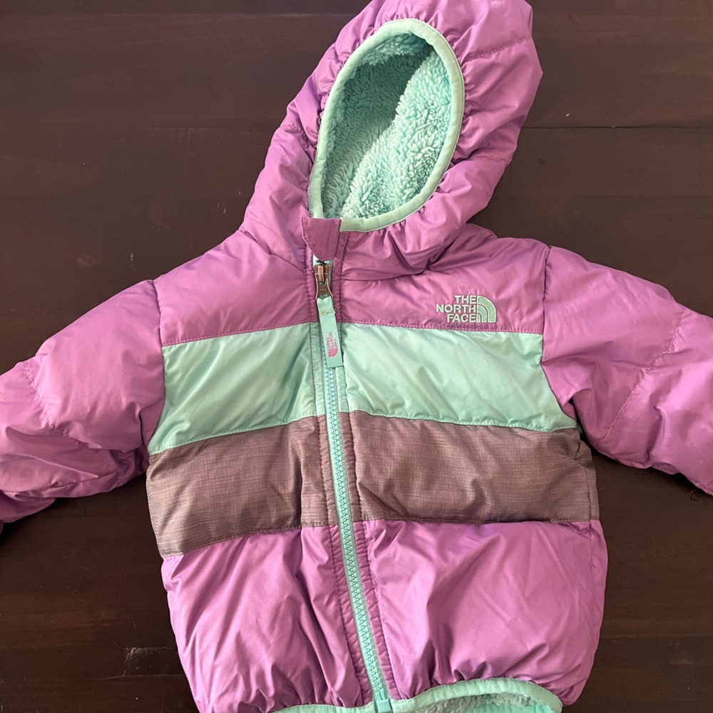 North Face Fleece-Lined Down Puffer Coat with Hood